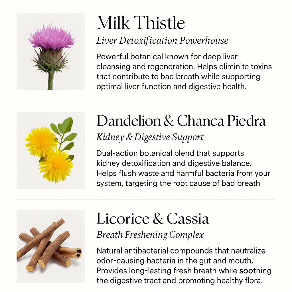 DetoxClear™ — Purify from Within. The only solution that goes beyond surface