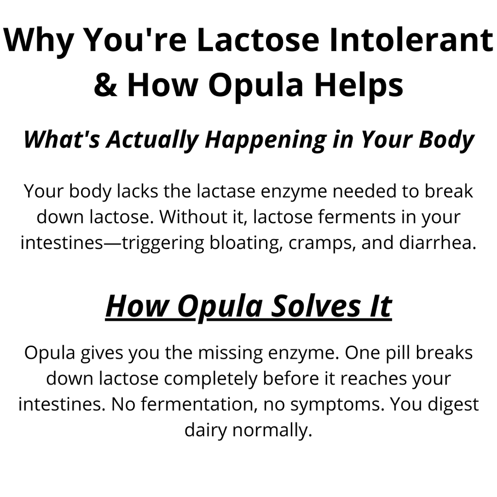 LactOpula - Ultra-strength formula