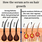Opula - Permanent Hair Reduction Serum
