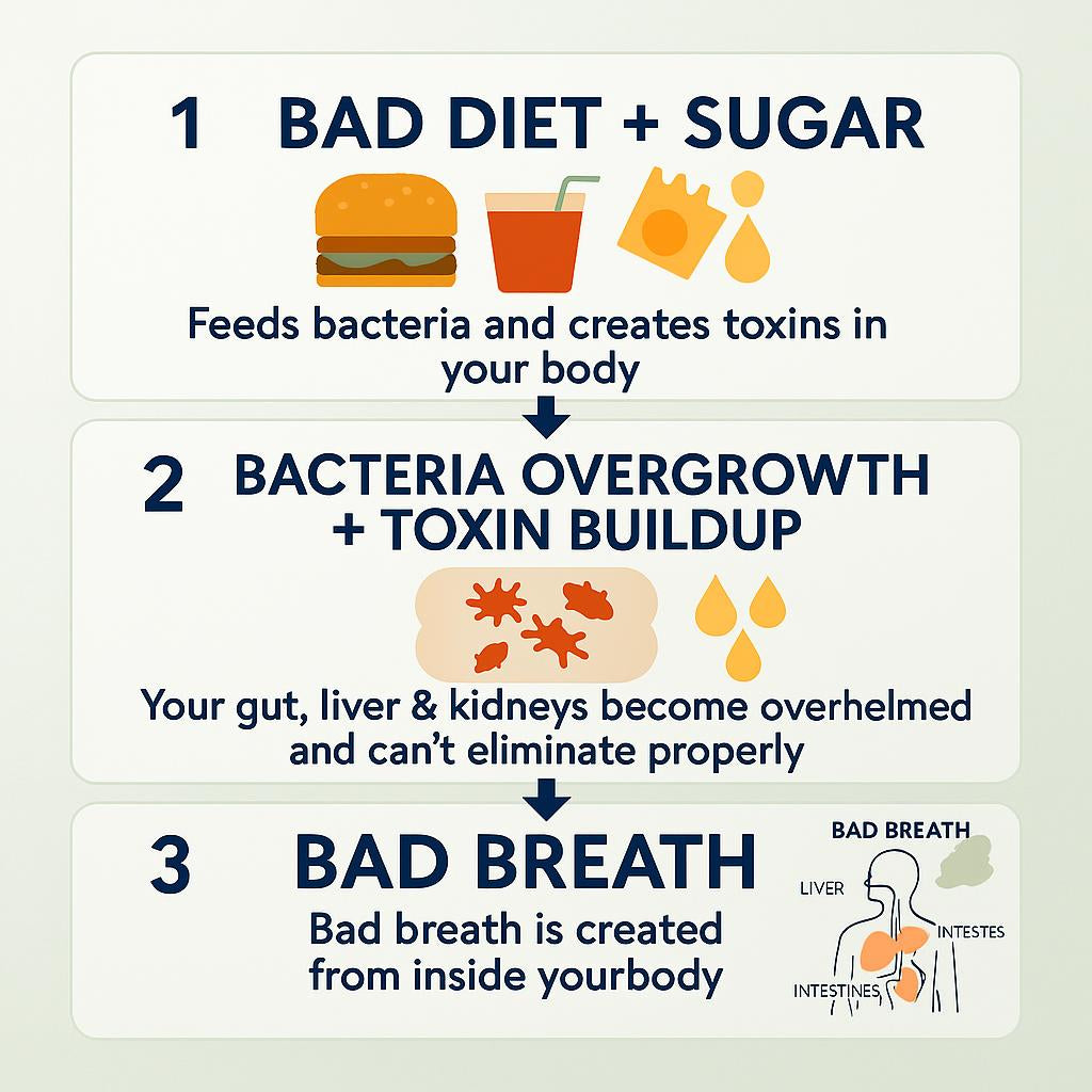 DetoxClear™ — Purify from Within. The only solution that goes beyond surface