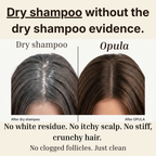 Opula - The Hair Reset. Fresh now. Less greasy over time.