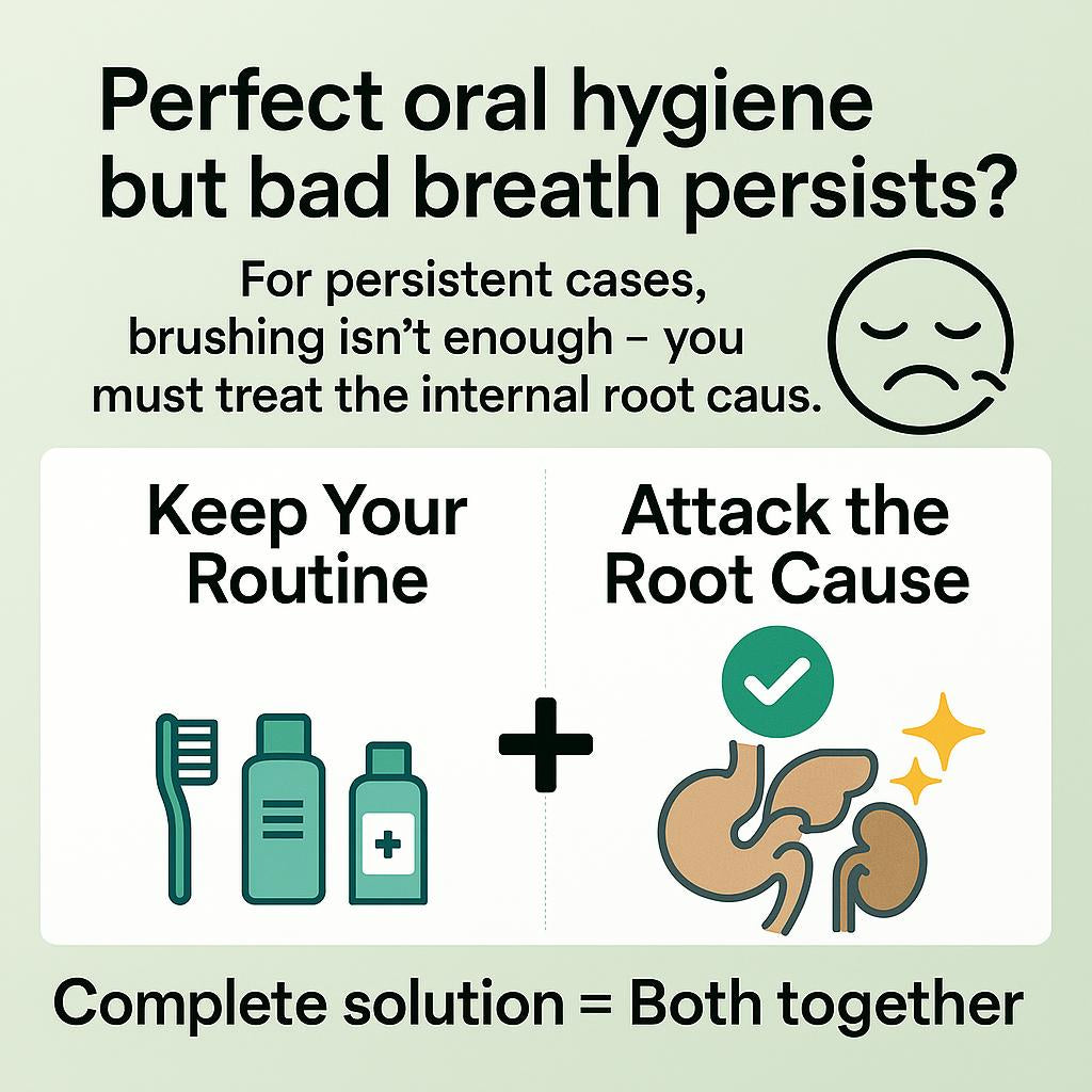 DetoxClear™ — Purify from Within. The only solution that goes beyond surface