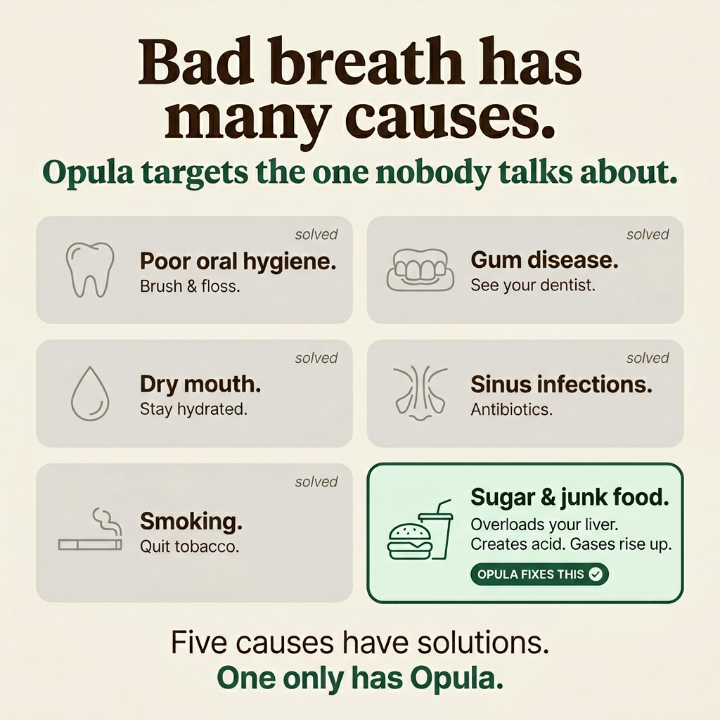 Opula — Sugar Neutralizer Oral Serum