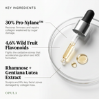 Sugar Free Radiance - Collagen Shield