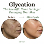 Sugar Free Radiance - Collagen Shield