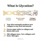 Sugar Free Radiance - Collagen Shield